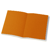 Foto variante Cartellina Bristol semplice pz.50 arancio