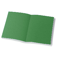 Foto variante Cartellina Bristol semplice pz.50 verde